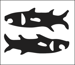 Poisson