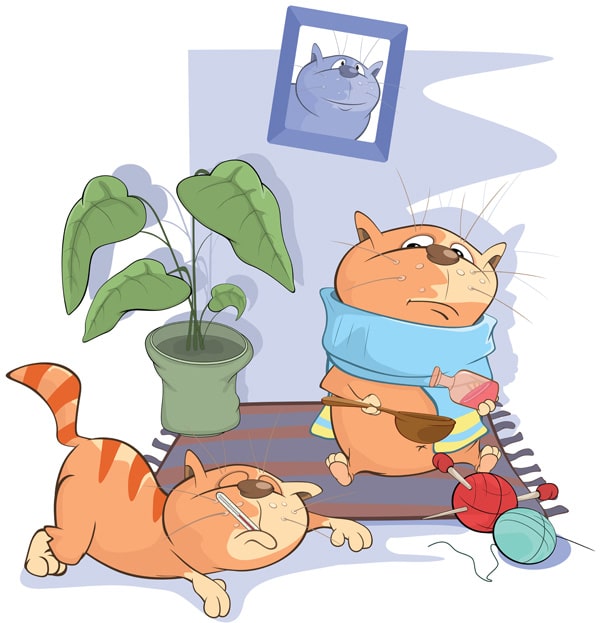 Symptômes chez un chat
