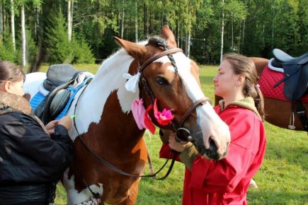 Le moment de la fête du cheval