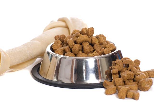 Nourrir akita inu avec des aliments secs