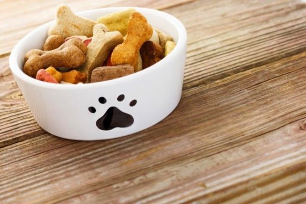 Nourriture pour chiens