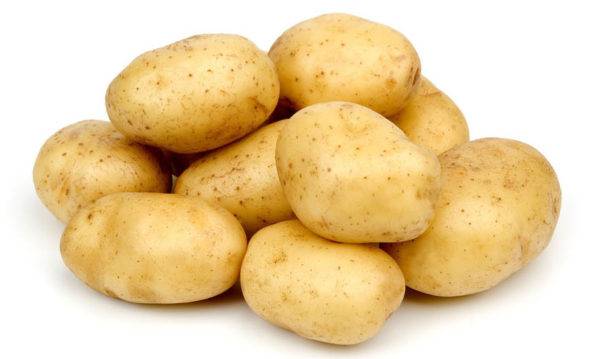 Pommes de terre pour chiens
