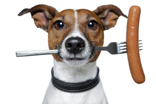 Saucisse pour chiens