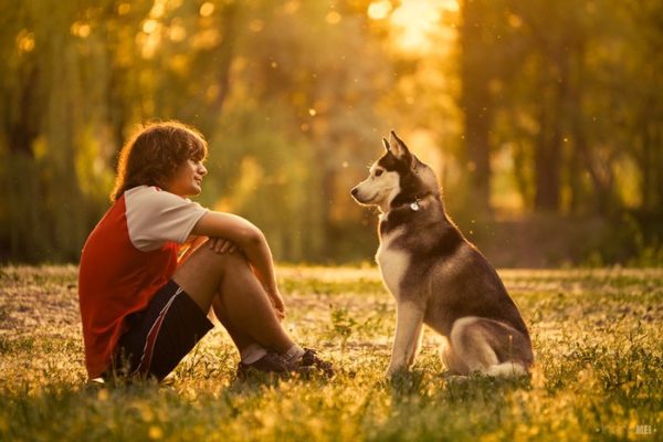 Comment devenir un leader pour un chien lire l'article