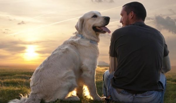 Chien et homme