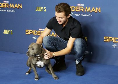 Tom Holland avec Tessie