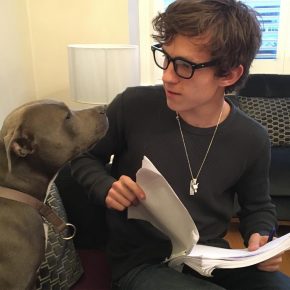 Tom et Tessie