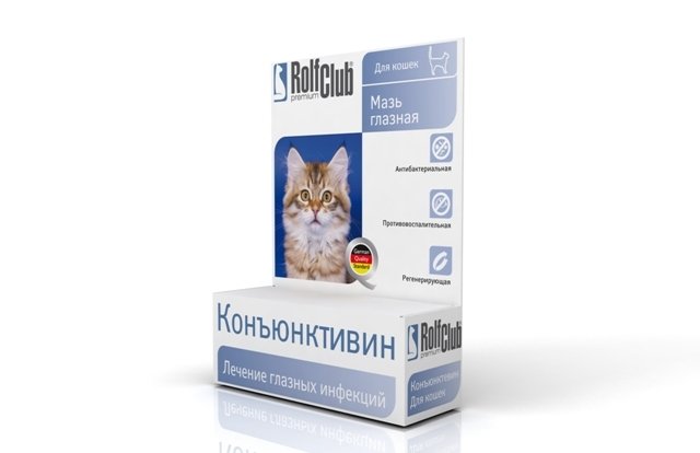 Conjonctivite chez le chat: traitement, types, causes et les symptômes