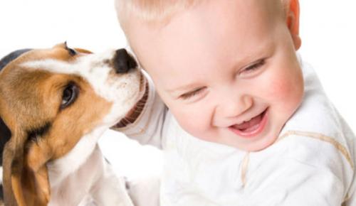 Chiens, petits enfants et bébés
