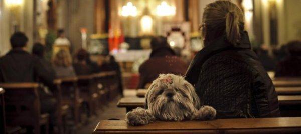 Chiens dans la religion