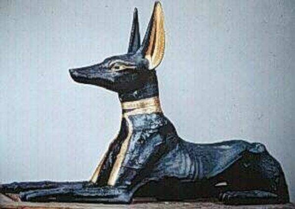 Chien et religion