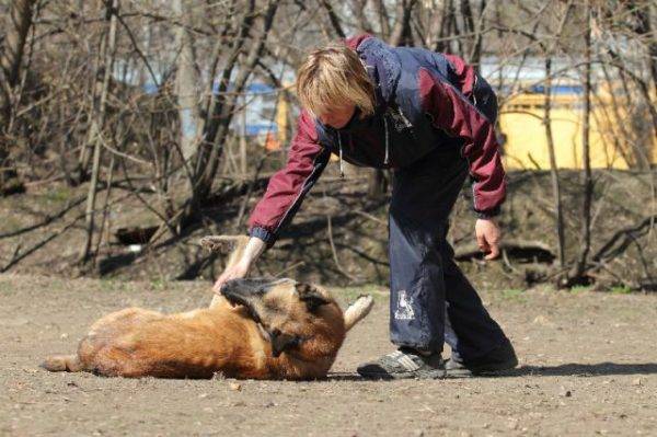 Apprenez à un chien à mourir, lisez l'article