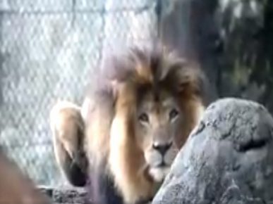 Leo Nyak avant une bagarre avec sa petite amie