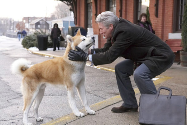 Les surnoms japonais des chiens lisent l'article